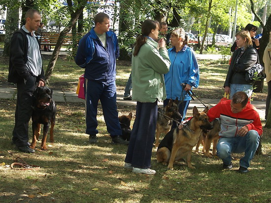 dog_008_berdyansk_kravchenko