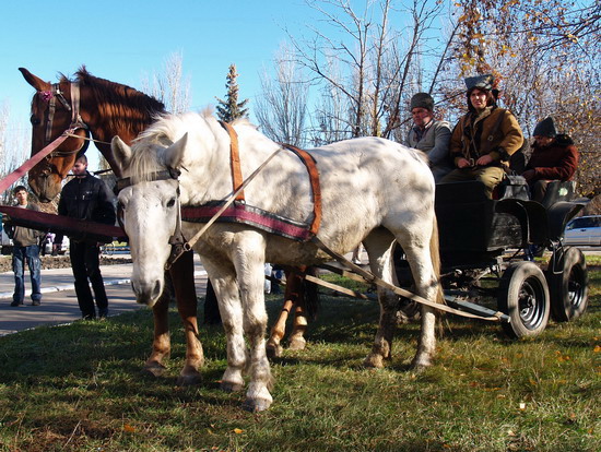 mahno_19_gulyaj_pole___kravchenko_jpg