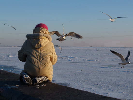 seagul23___berdyansk_see_of_azov_ukraine_v_kravchenko