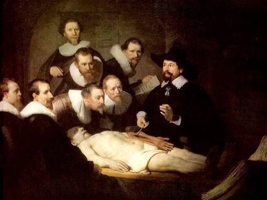 rembrandt-anatomy